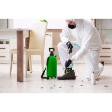 Haşere İlaçlama Hizmeti Haşere İlaçlama Hizmeti