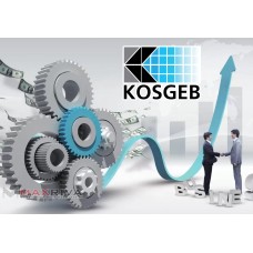 Kosgeb, Hibe Teşvik Uzmanı 