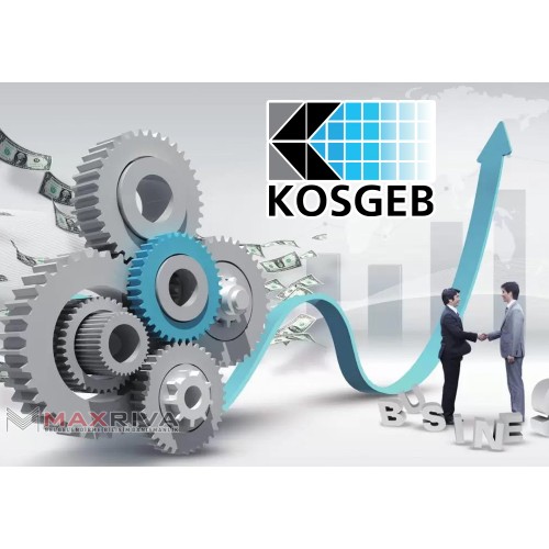 Kosgeb, Hibe Teşvik Uzmanı 